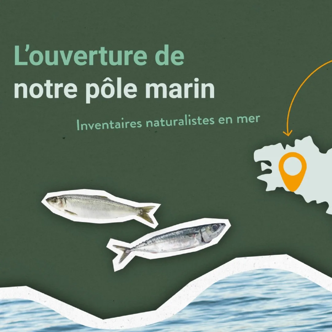 Envol Environnement
